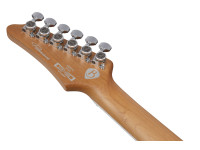 Ibanez BER10 Bernth Signature BK Ibanez BER10 Bernth Signature BK